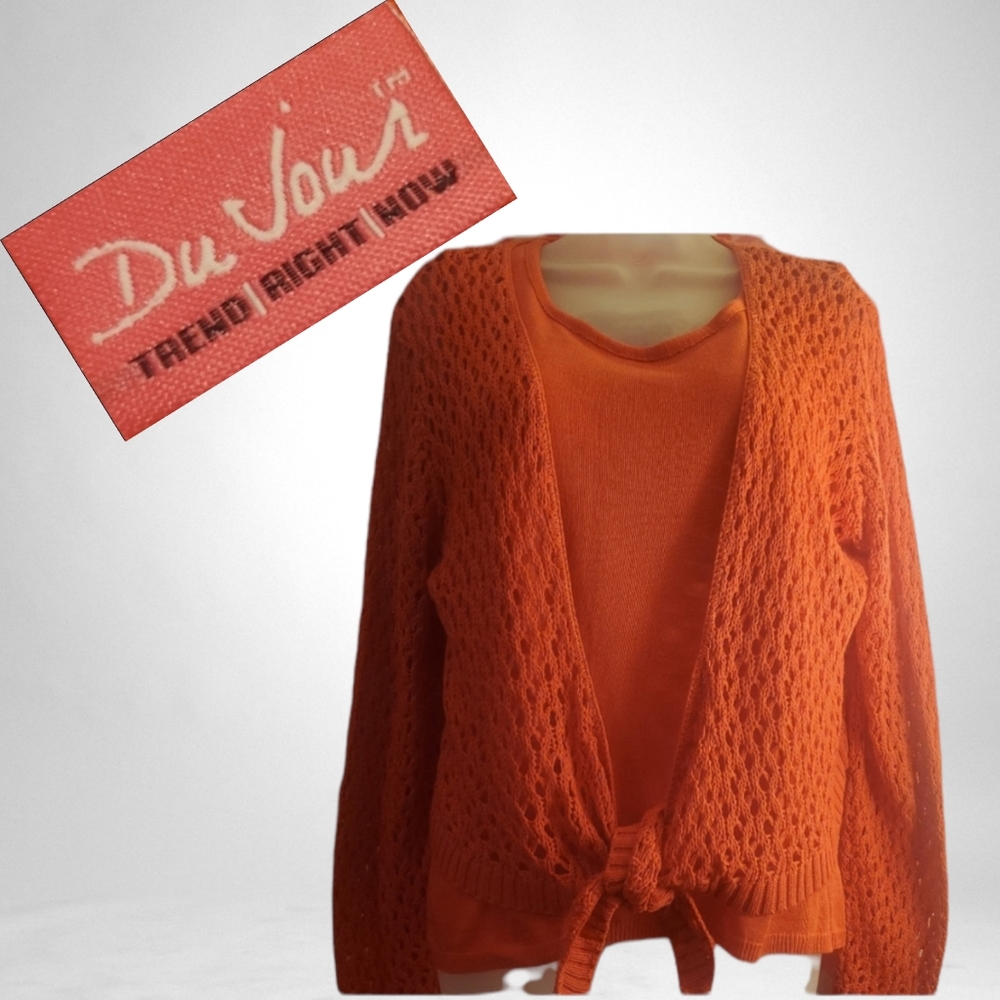 Du Jour 2 Piece Open Knit Sweater Set